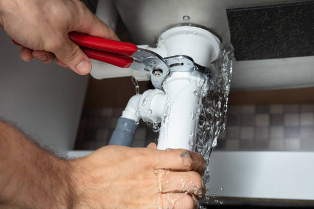 Best Water damage cleanup near me  in Westmere, NY