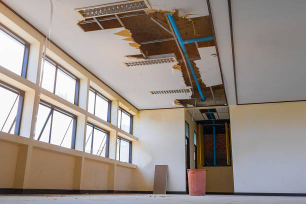 Best Fire Damage Restoration  in Westmere, NY