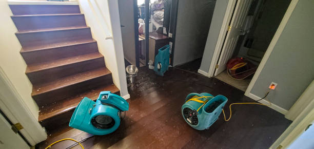 Best 24/7 water damage repair  in Westmere, NY