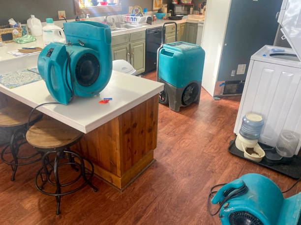Best 24-hour water damage restoration  in Westmere, NY