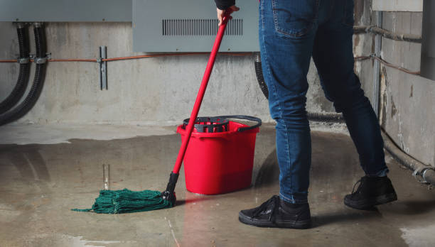 Best Carpet water damage restoration  in Westmere, NY