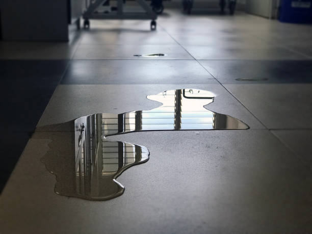 Best Water damage restoration near me  in Westmere, NY