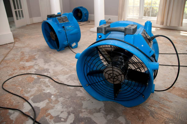 Best Mold removal after water damage  in Westmere, NY