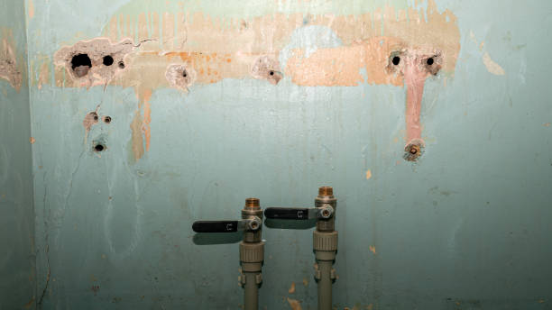 Best Basement water damage restoration  in Westmere, NY