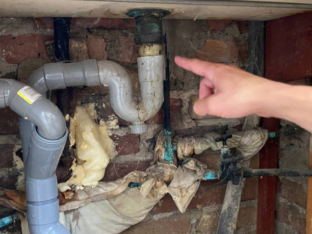 Best Residential water damage restoration  in Westmere, NY