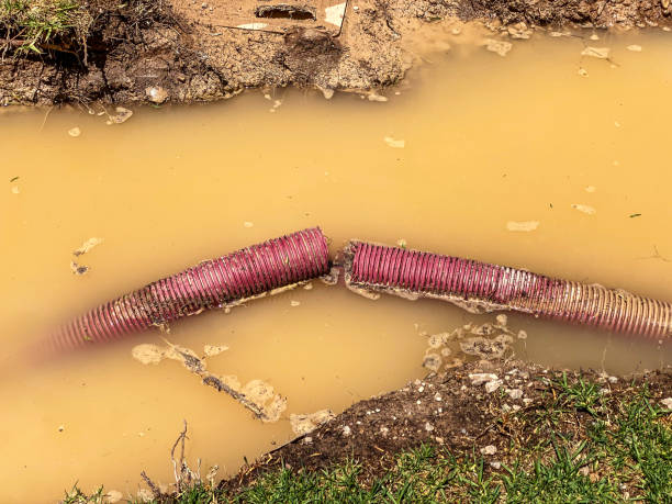 Best Water damage contractors near me  in Westmere, NY