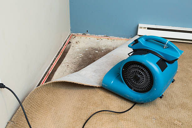 Best Residential water damage restoration  in Westmere, NY